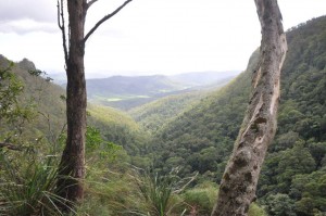 O'Reilly's Retreat Australia  2013 120