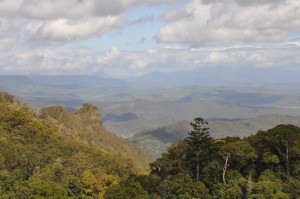 O'Reilly's Retreat Australia  2013 164