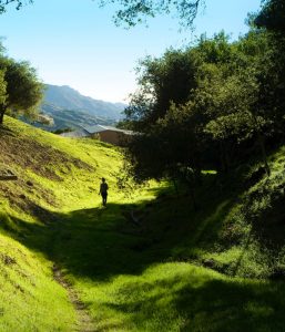 windermere_walking_600