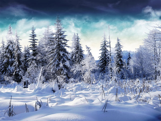 snow