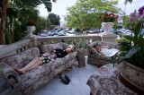 My Gallery (14/114)