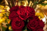 My Gallery (12/57)