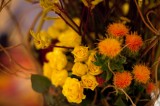 My Gallery (22/57)